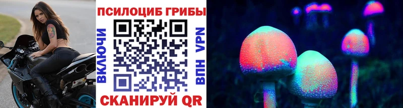 Галлюциногенные грибы Psilocybe  Курильск 